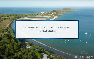 Marina Flamingo A Community in Harmony | Marina Flamingo