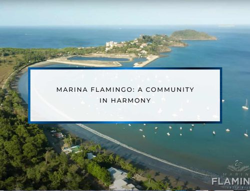 Marina Flamingo: A Community in Harmony