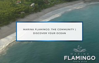 Marina Flamingo The Community | Discover YOUR Ocean | Marina Flamingo