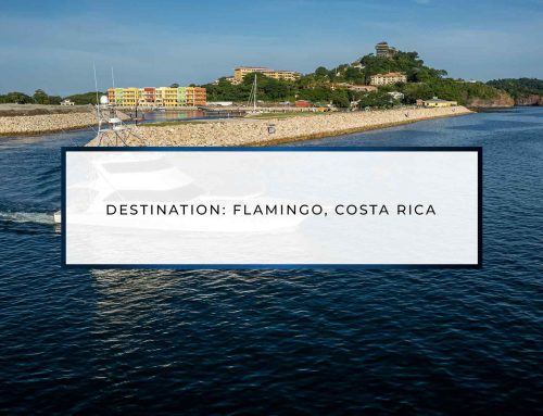 Destination: Flamingo, Costa Rica