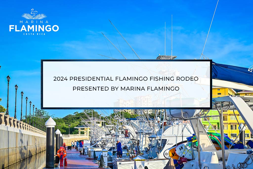 2024 Presidential Flamingo Fishing Rodeo Presented By Marina Flamingo | F3 Marina